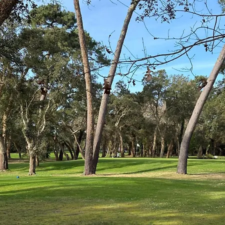 Luxe Proche Golf Hossegor 12 Personnes Villa